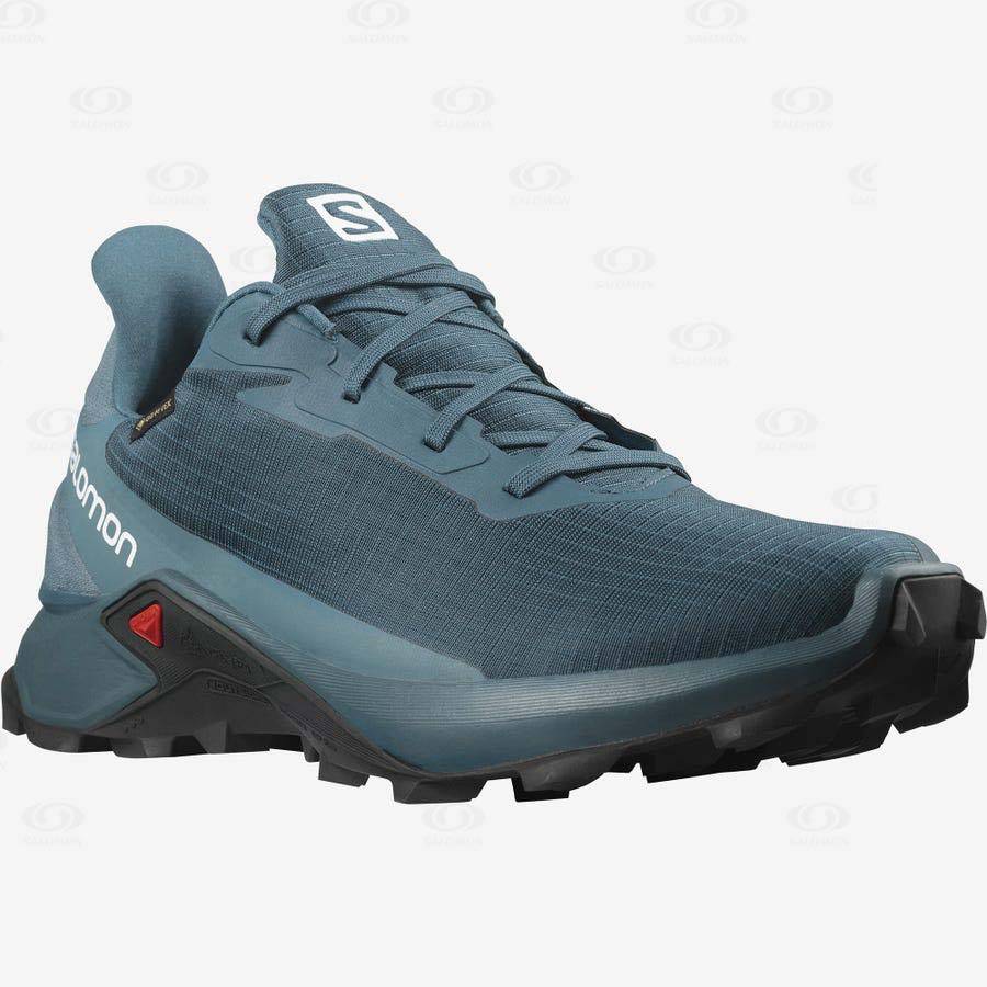 Salomon ALPHACROSS 3 GORE-TEX Vattentäta Skor Herr Blå | SE-O2162