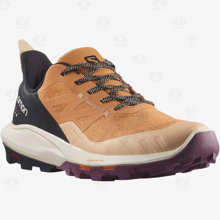 Salomon OUTPULSE GORE-TEX Vandringsskor Dam Bruna | SE-M2427