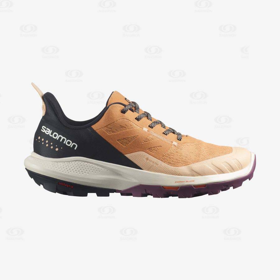 Salomon OUTPULSE GORE-TEX Vandringsskor Dam Bruna | SE-M2427