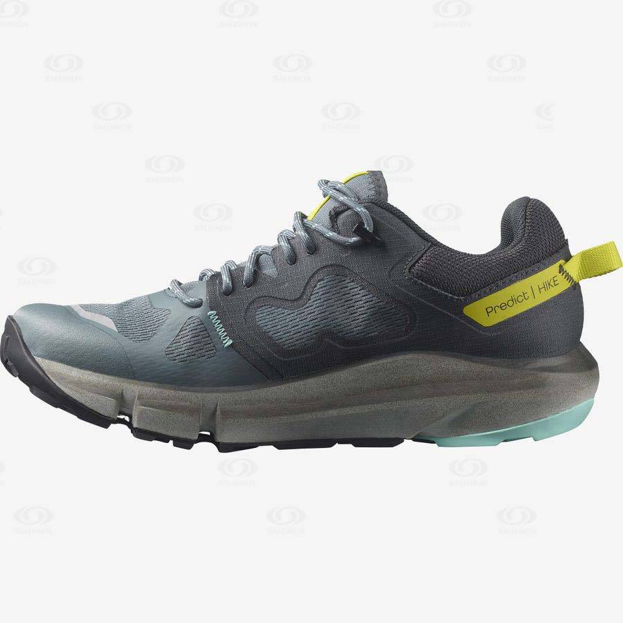 Salomon PREDICT HIKE GORE-TEX Vandringsskor Dam Silver | SE-A1948