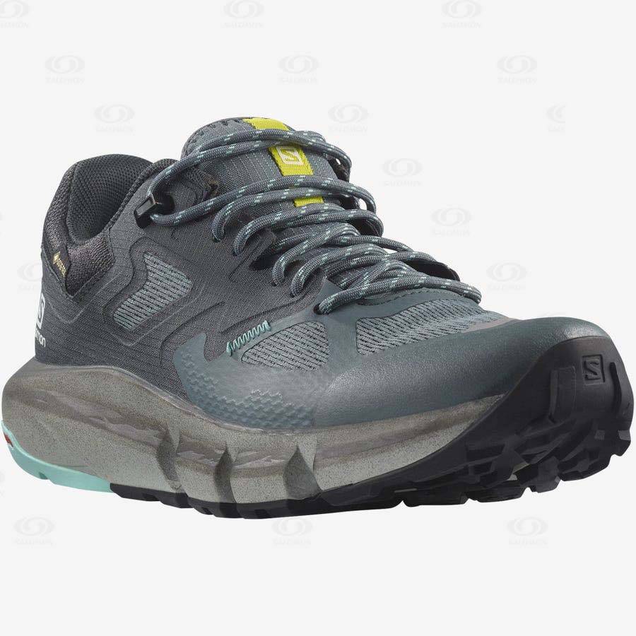 Salomon PREDICT HIKE GORE-TEX Vandringsskor Dam Silver | SE-A1948