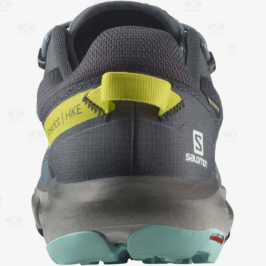 Salomon PREDICT HIKE GORE-TEX Vandringsskor Dam Silver | SE-A1948