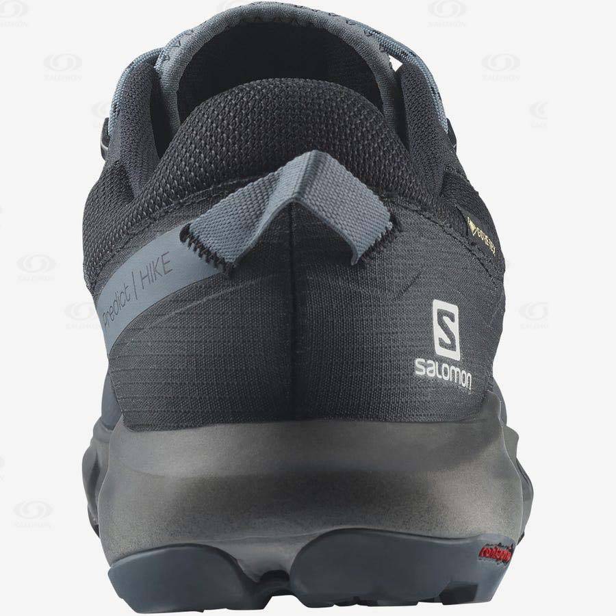 Salomon PREDICT HIKE GORE-TEX Vandringsskor Herr Grå Svarta | SE-L1501