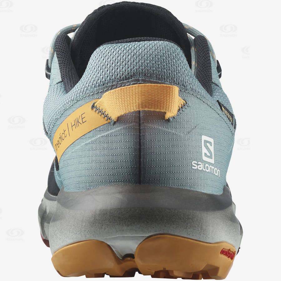 Salomon PREDICT HIKE GORE-TEX Vandringsskor Herr Svarta Orange | SE-O2538