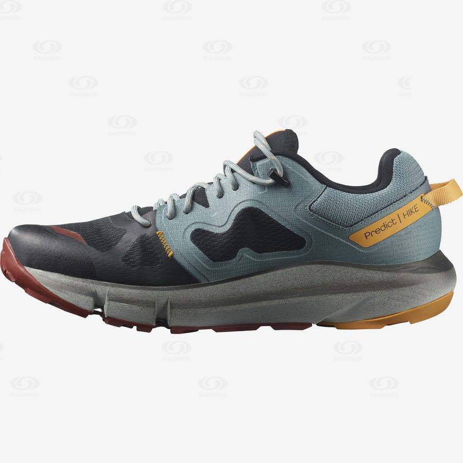 Salomon PREDICT HIKE GORE-TEX Vandringsskor Herr Svarta Orange | SE-O2538