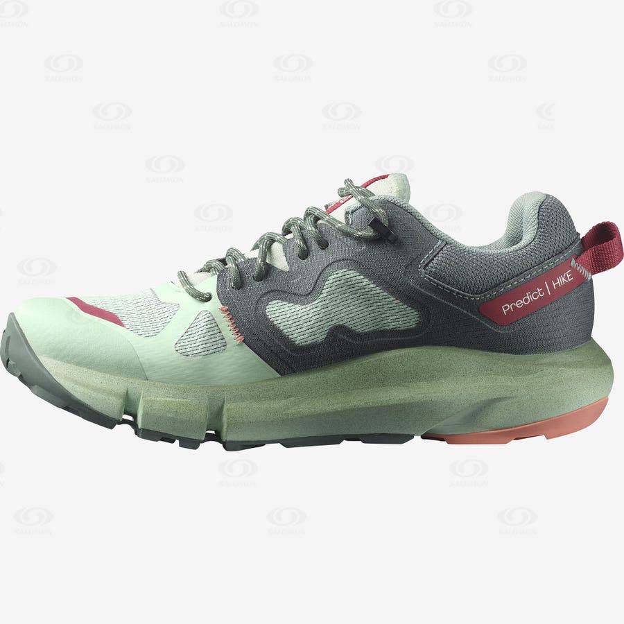 Salomon PREDICT HIKE GORE-TEX Vandringsskor Dam Turkos | SE-S1289