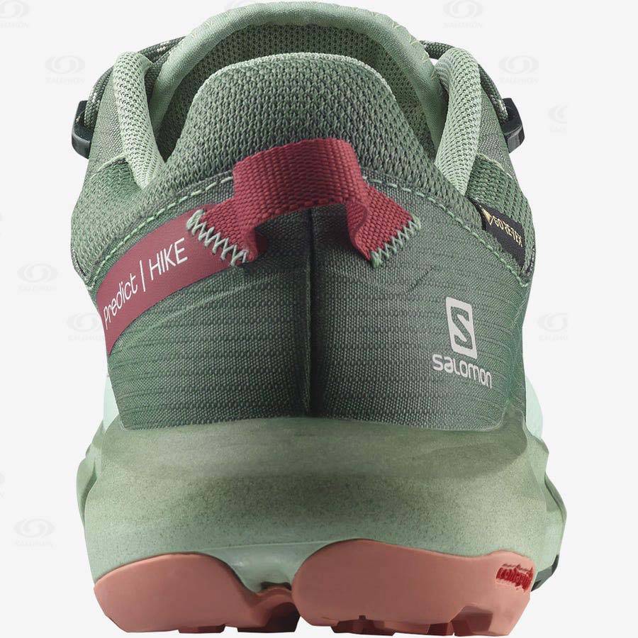 Salomon PREDICT HIKE GORE-TEX Vandringsskor Dam Turkos | SE-S1289