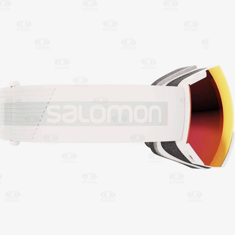 Salomon RADIUM SIGMA Glasögon Dam Vita | SE-L2348