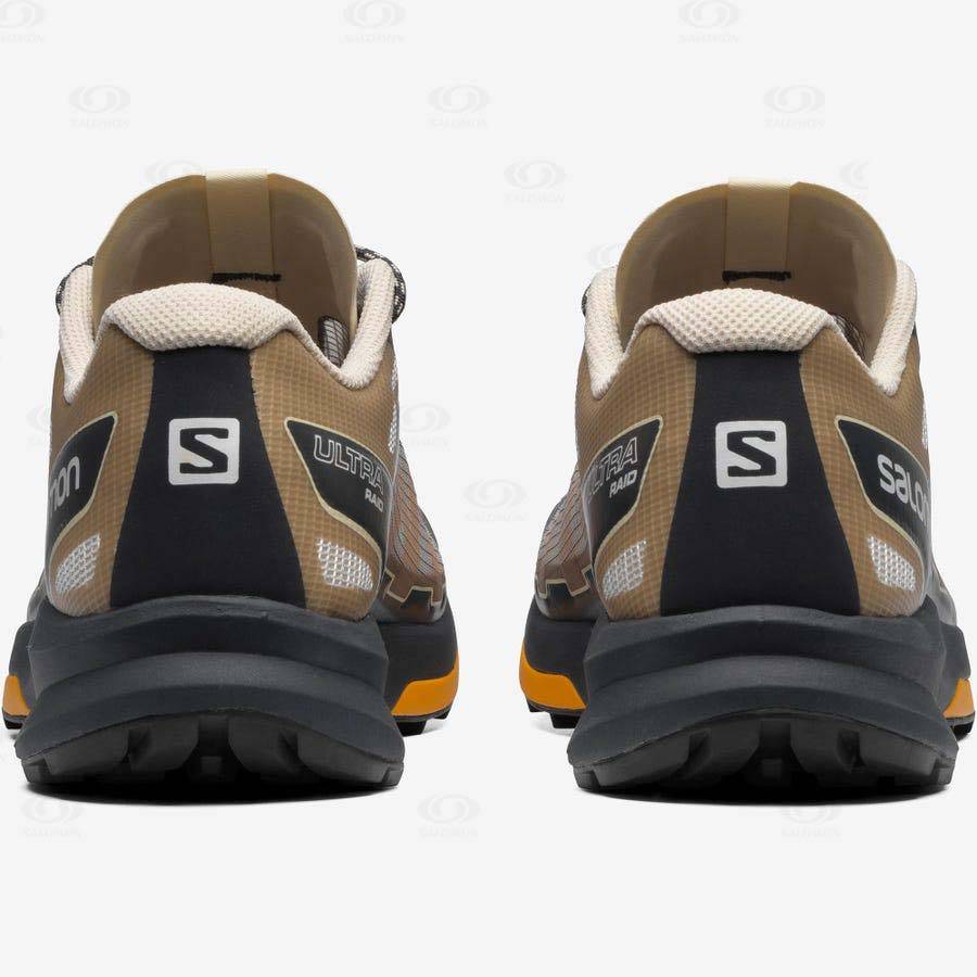 Salomon ULTRA RAID Sneakers Herr Bruna Silver | SE-M2231