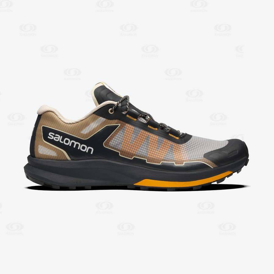 Salomon ULTRA RAID Sneakers Herr Bruna Silver | SE-M2231