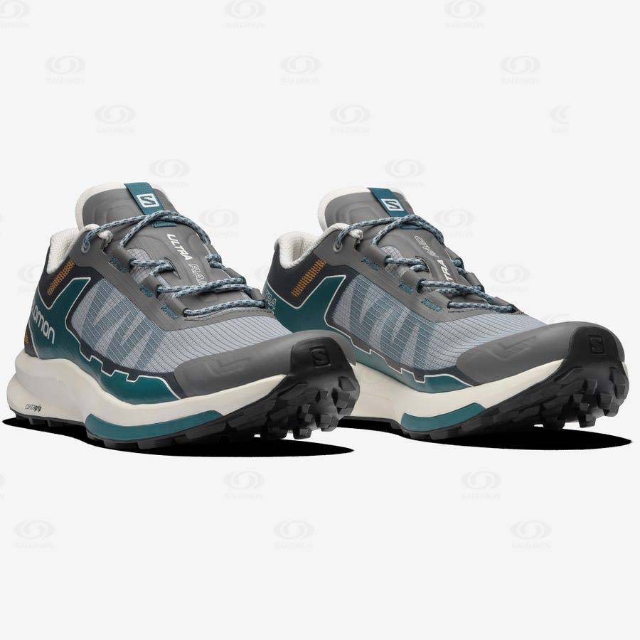 Salomon ULTRA RAID Sneakers Herr Grå Silver | SE-S1331