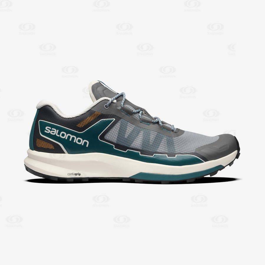 Salomon ULTRA RAID Sneakers Herr Grå Silver | SE-S1331