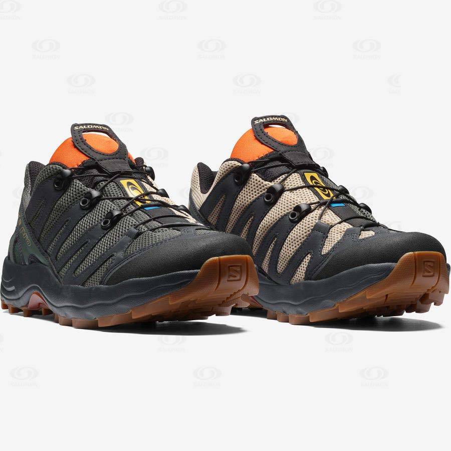 Salomon XA PRO 1 Sneakers Dam Grå | SE-M2539