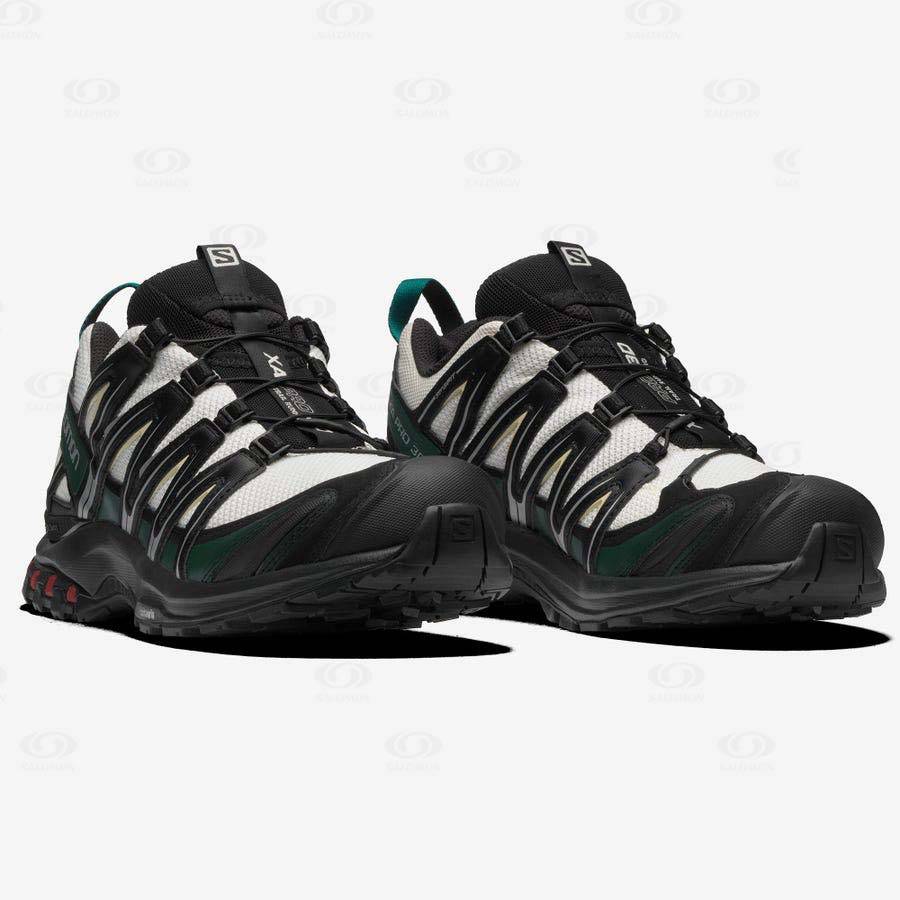 Salomon XA PRO 3D Sneakers Dam Svarta | SE-O1551