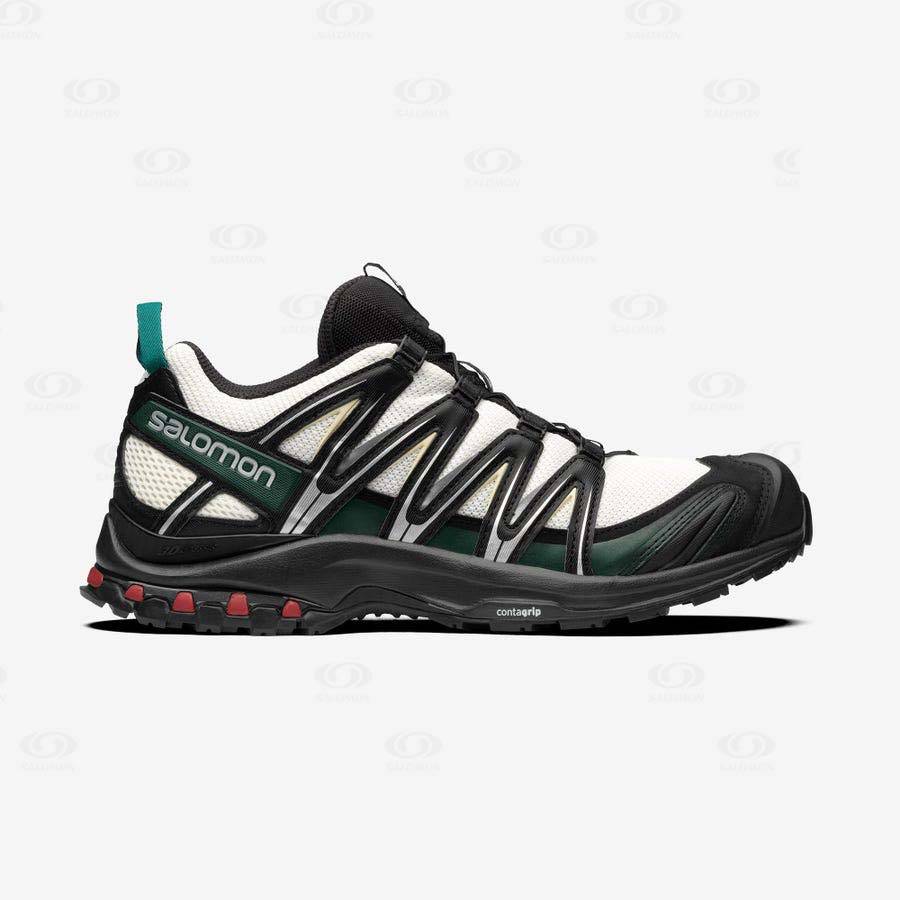 Salomon XA PRO 3D Sneakers Dam Svarta | SE-O1551