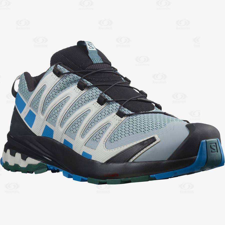 Salomon XA PRO 3D v8 Vandringsskor Herr Turkos | SE-O2132