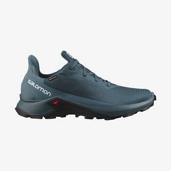 Salomon ALPHACROSS 3 GORE-TEX Vattentäta Skor Herr Blå | SE-O2162