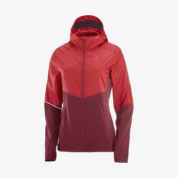 Salomon Jacka AGILE WIND Softshelljacka Dam Röda | SE-N2177