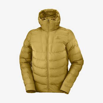 Salomon Jacka ESSENTIAL XWARM INSULATED Softshelljacka Herr Gula | SE-O1357