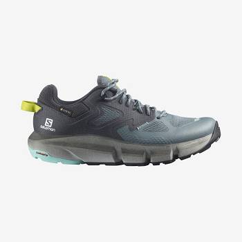 Salomon PREDICT HIKE GORE-TEX Vandringsskor Dam Silver | SE-A1948