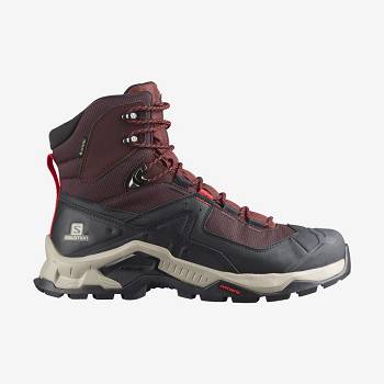 Salomon QUEST ELEMENT GORE-TEX Vandringskängor Herr Grå Röda | SE-A2074