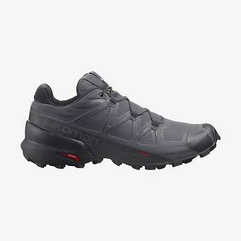 Salomon SPEEDCROSS 5 Trailskor Herr Silver | SE-S1359