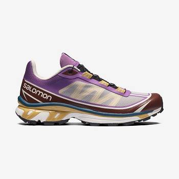 Salomon XT-6 FT Sneakers Dam Lila Choklad | SE-O1467