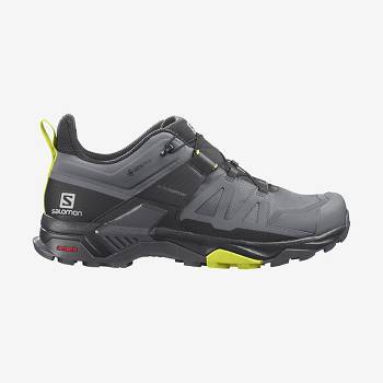 Salomon X ULTRA 4 GORE-TEX Vandringsskor Herr Silver | SE-N2569